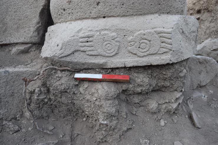 דגם על כותרת הפוכה (צילום: ד"ר מיכאל אזבנד) דגם על כותרת הפוכה