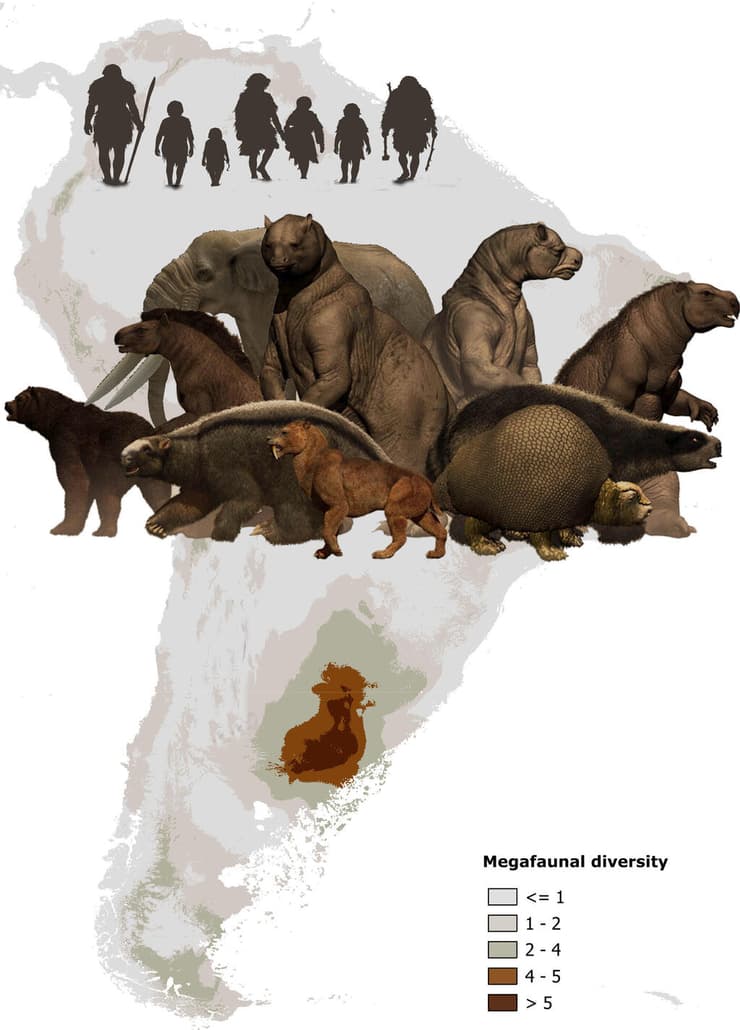 מיני מגה-פאונה שהיו טרף מועדף על בני אדם בחלקים הדרומיים של דרום אמריקה