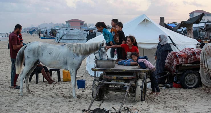 עקורים פלסטינים