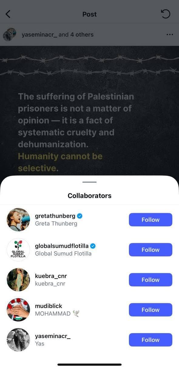 גרטה שיתפה פוסט על "סבל האסירים הפלסטינים" - עם תמונה של החטוף אביתר דוד