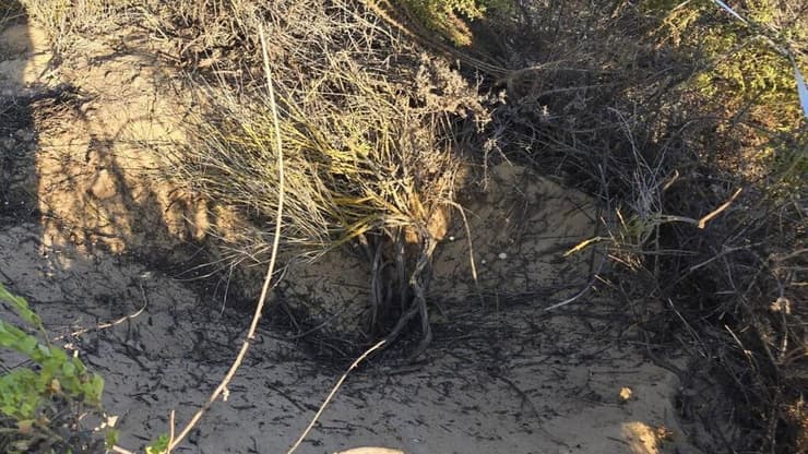 מקום נפילת הרקטה בחממות בנתיב העשרה זירת הנפילה סמוך לנתיב העשרה