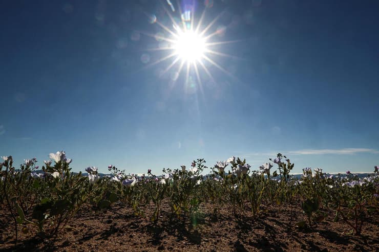 הממוצע השנתי הוא 2 מ"מ של גשם