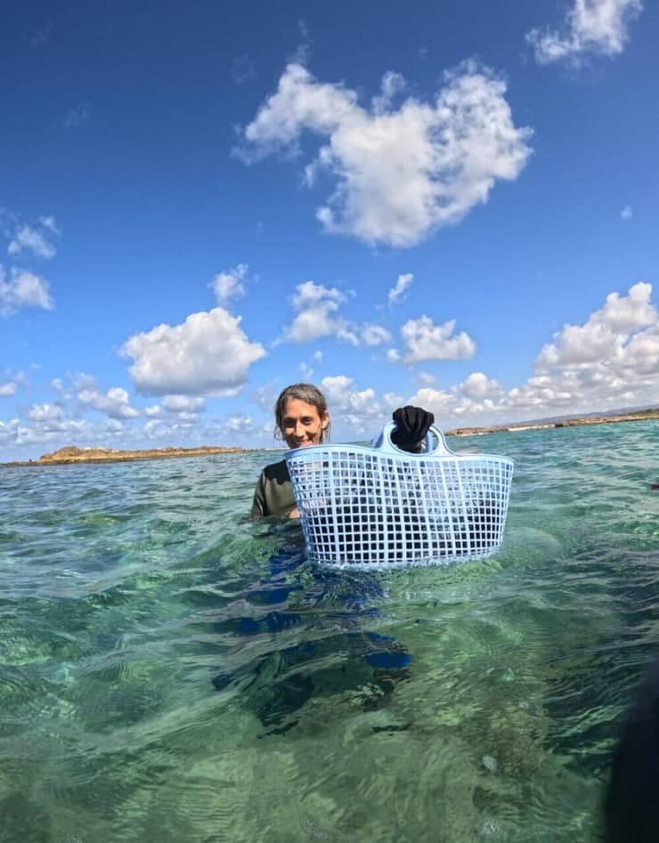 המבצע להוצאת קיפודי הים