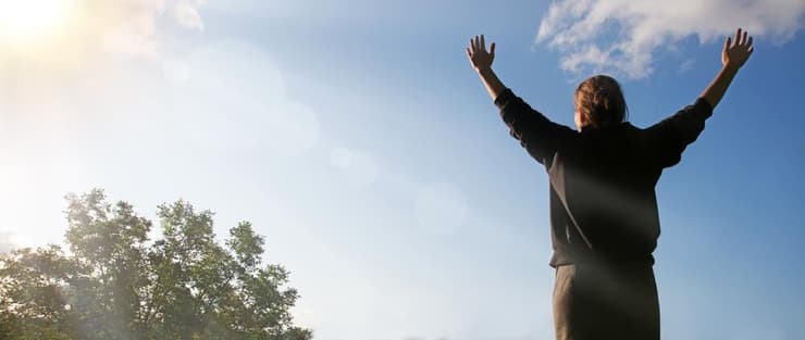 הדמיה (צילום: ArtMari, shutterstock) הדמיה