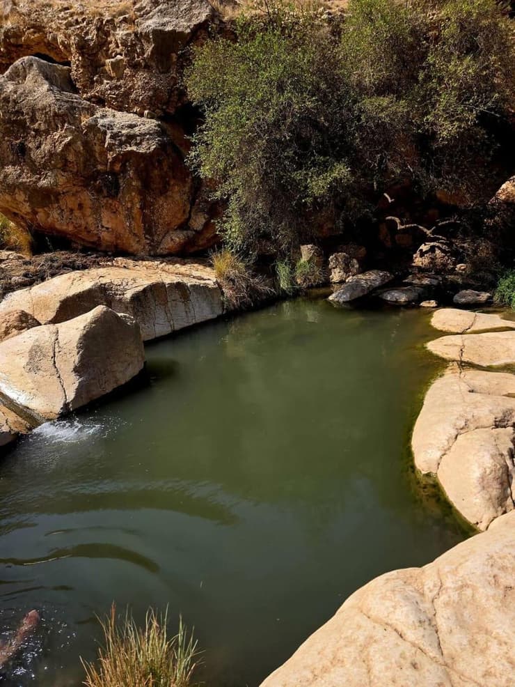בריכת אפריים
