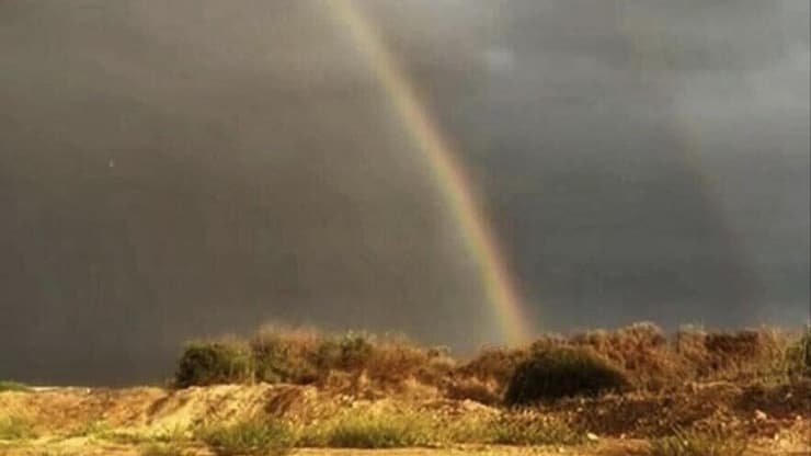 התמונה ששיתפה ראש המועצה האזורית אשכול: "באופן סמלי הבוקר, טפטופי גשם ראשונים הרוו את שדותינו" (צילום: מיה מקיץ) קשת בקיבוץ מגן