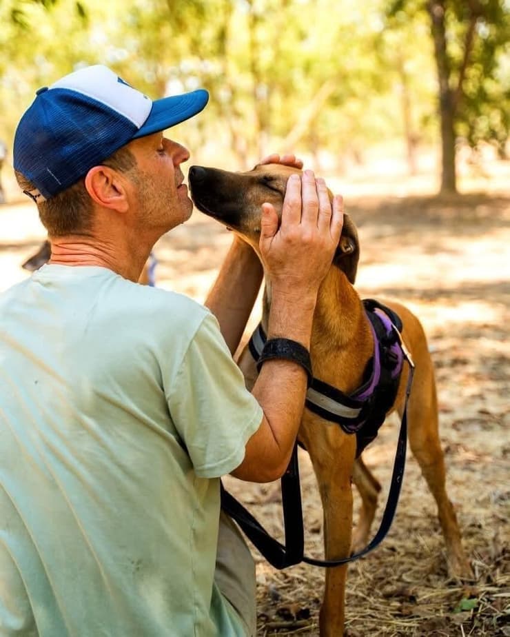 קלי (צילום: עמותת חבר למען הכלבים) קלי