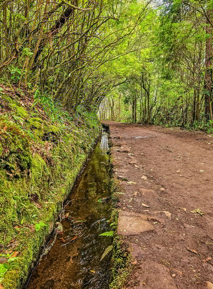 החלק הרחב של השביל