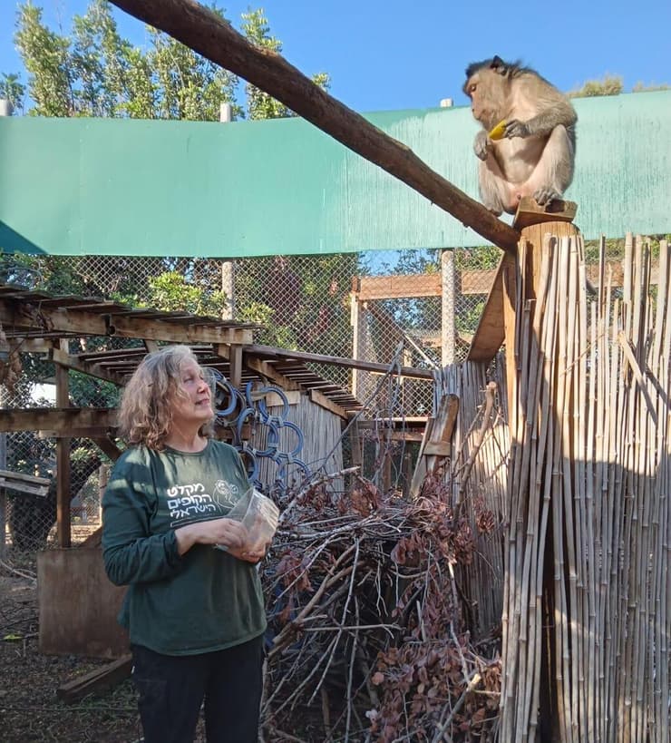 תמר פרדמן. "גם לאחר שקופים מאבדים את כל עולמם, עדיין אפשר לשקם" (צילום: מקלט הקופים הישראלי) תמר פרדמן