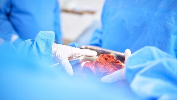 ההשתלה שבוצעה בסין מוכיחה ש"מה שהיה עד כה בגדר מדע בדיוני מתחיל להפוך למציאות קלינית", לפי פרופ' ודמאייר (צילום: Shutterstock) השתלת כבד