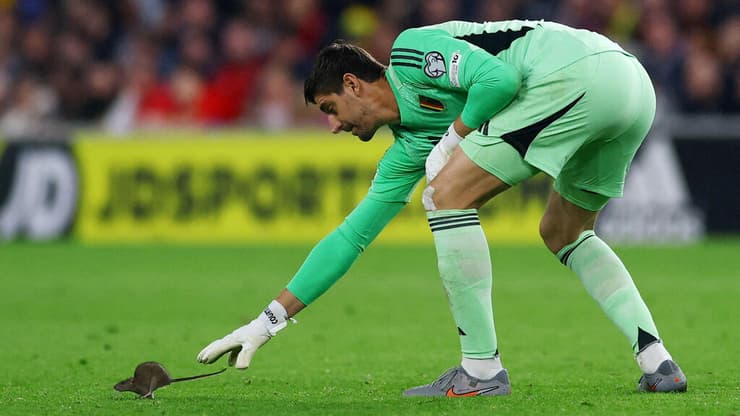 רק כמעט. טיבו קורטואה והחולדה (צילום: Reuters/Matthew Childs) טיבו קורטואה והחולדה