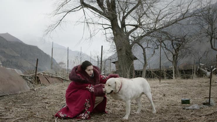 מתוך "נאנדאורי"