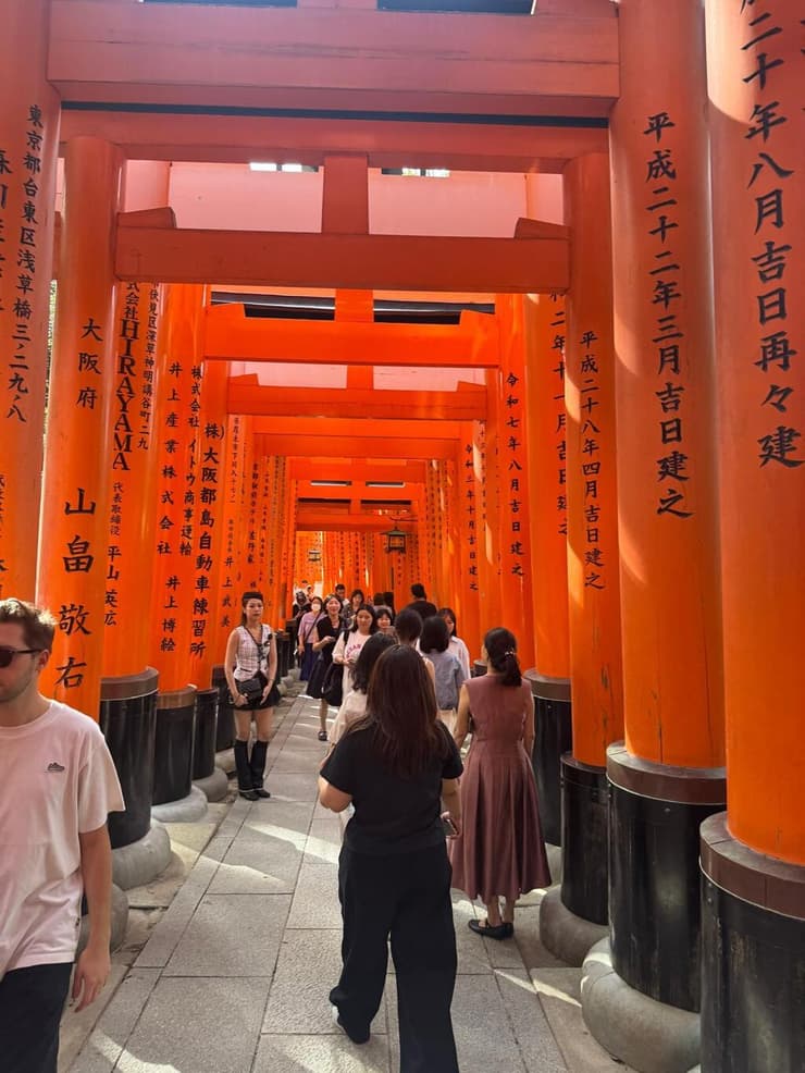 "קיוטו, סיוט כל הסיוטים"