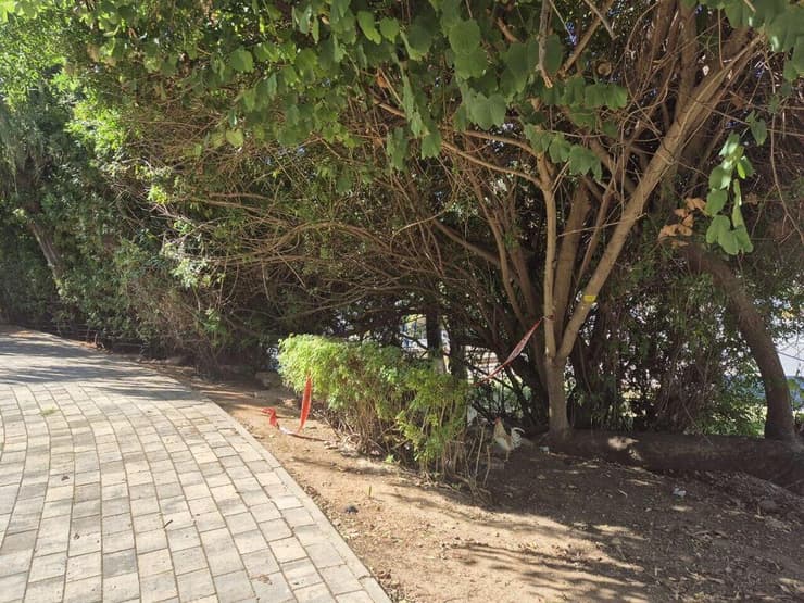 זירת הרצח ביד אליהו