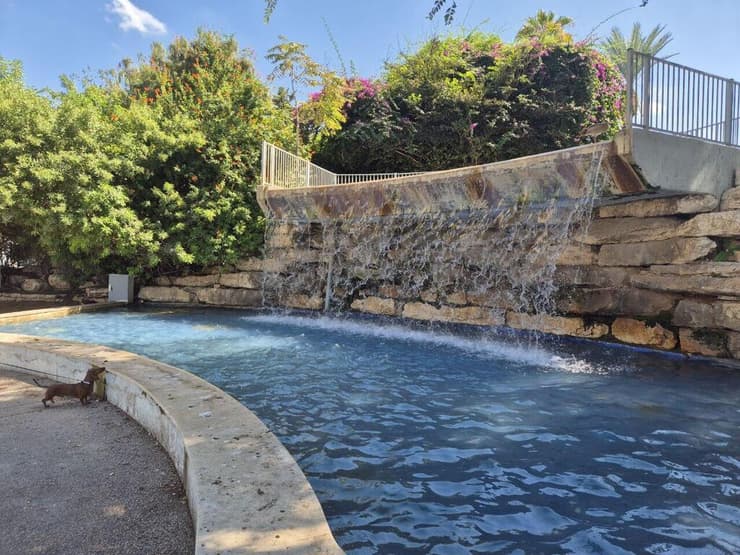 זירת הרצח ביד אליהו