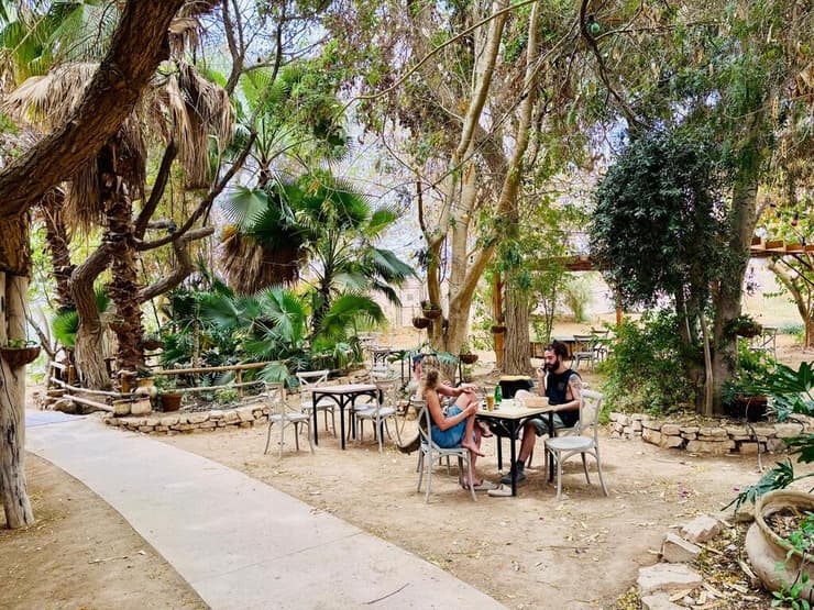 קיבוץ נאות סמדר