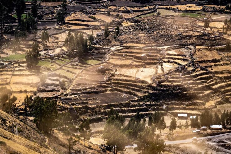 טרסות בנות מאות שנים מתקופת האינקה בקניון קולקה