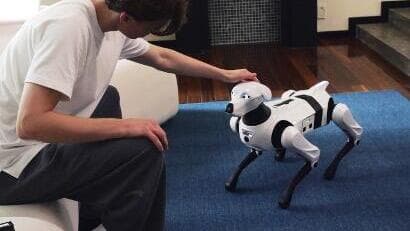 רובוט-כלב של חברת צ'רי