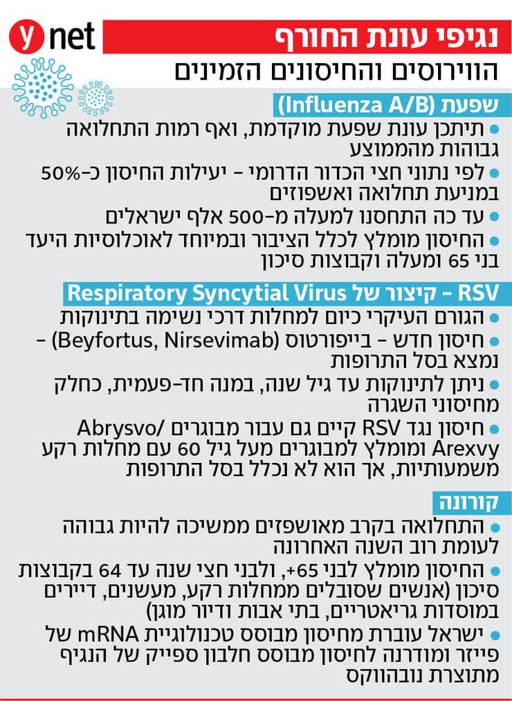 אינפו נגיפי החורף אינפו נגיפי החורף