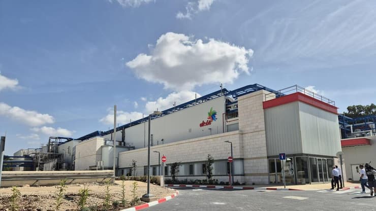 המפעל של שטראוס