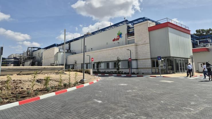 "הפך את האמונה למפעל חיים" (צילום: מירב קריסטל) המפעל של שטראוס