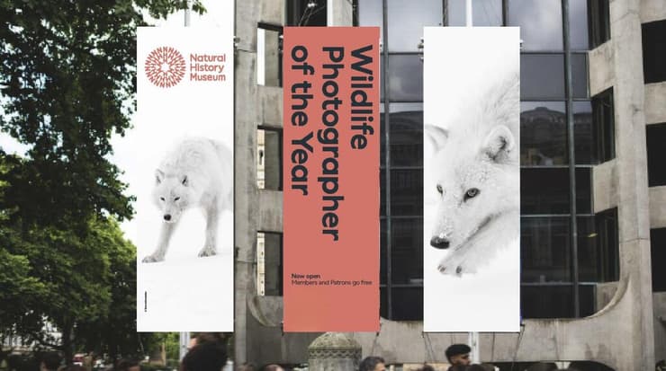 תמונת "חלק מהלהקה" על שלטי חוצות בלונדון (צילום: The Trustees of the Natural History Museum, London) תמונת "חלק מהלהקה" על שלטי חוצות בלונדון