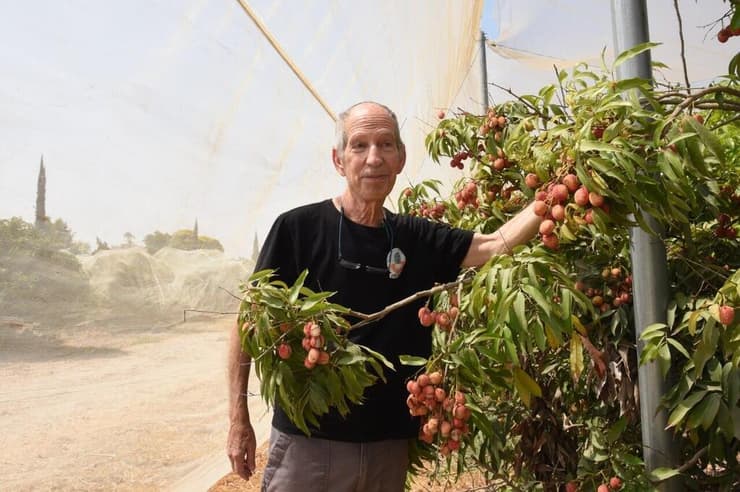 רפי שטרן עם הליצ'י