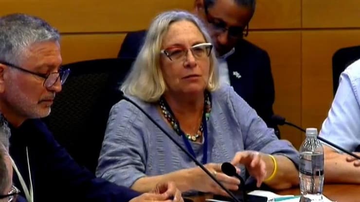 "המטופלים מגיעים במצבים יותר אלימים וקשים משהגיעו בעבר". ד"ר אירית מרטיק, מנהלת השירות לפסיכיאטריה דחופה ברמב"ם (צילום: ערוץ כנסת) ד"ר אירית מרטיק, מנהלת השירות לפסיכיאטריה דחופה ברמב"ם