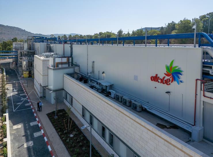 "מעבר להשקת מפעל - זו הצהרת אמון" (צילום: פלג אלקלעי) שטראוס קמפוס מיכאל נהריה