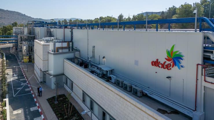 שטראוס קמפוס מיכאל נהריה 