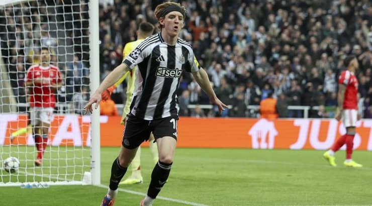 אנתוני גורדון חוגג (IMAGO) אנתוני גורדון חוגג