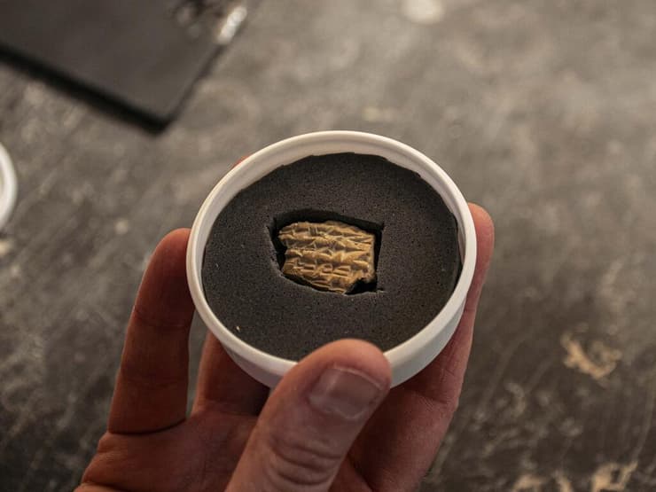 טביעת החותם מתקופת בית המקדש הראשון (צילום: יולי שוורץ, רשות העתיקות) טביעת החותם מתקופת בית המקדש הראשון