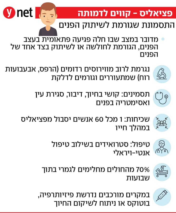 אינפו פציאליס