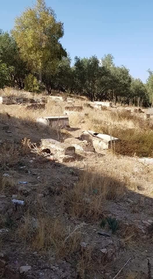 בית הקברות לפני השיפוץ (צילום: לאה בן שטרית) בית הקברות לפני השיפוץ