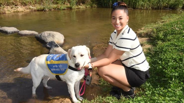 אריאל ציגלר