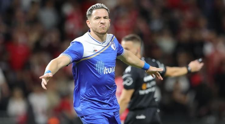 אוגריסה (צילום: עמרי שטיין, ONE) אוגריסה