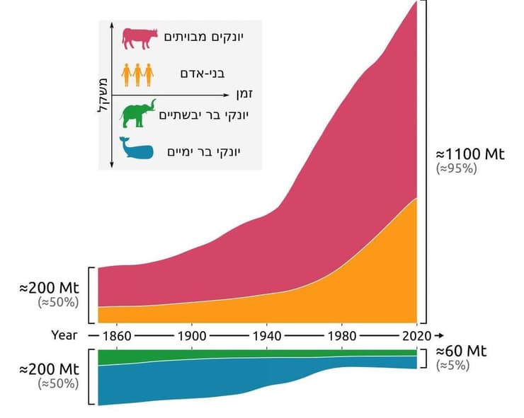 משקל כל היונקים על כדור-הארץ לאורך 170 השנים האחרונות. בעוד משקל האנושות (כתום) והיונקים המבויתים (ורוד) זינק מכ-200 מיליון טונות לכ-1.1 מיליארד טונות, משקל היונקים הימיים (כחול) והיונקים היבשתיים (ירוק) הצטמצם מכ-200 מיליון טונות לכ-60 מיליון טונות בלבד (איור: באדיבות מכון ויצמן למדע) משקל כל היונקים על כדור-הארץ לאורך 170 השנים האחרונות. בעוד משקל האנושות (כתום) והיונקים המבויתים (ורוד) זינק מכ-200 מיליון טונות לכ-1.1 מיליארד טונות, משקל היונקים הימיים (כחול) והיונקים היבשתיים (ירוק) הצטמצם מכ-200 מיליון טונות לכ-60 מיליון טונות בלבד