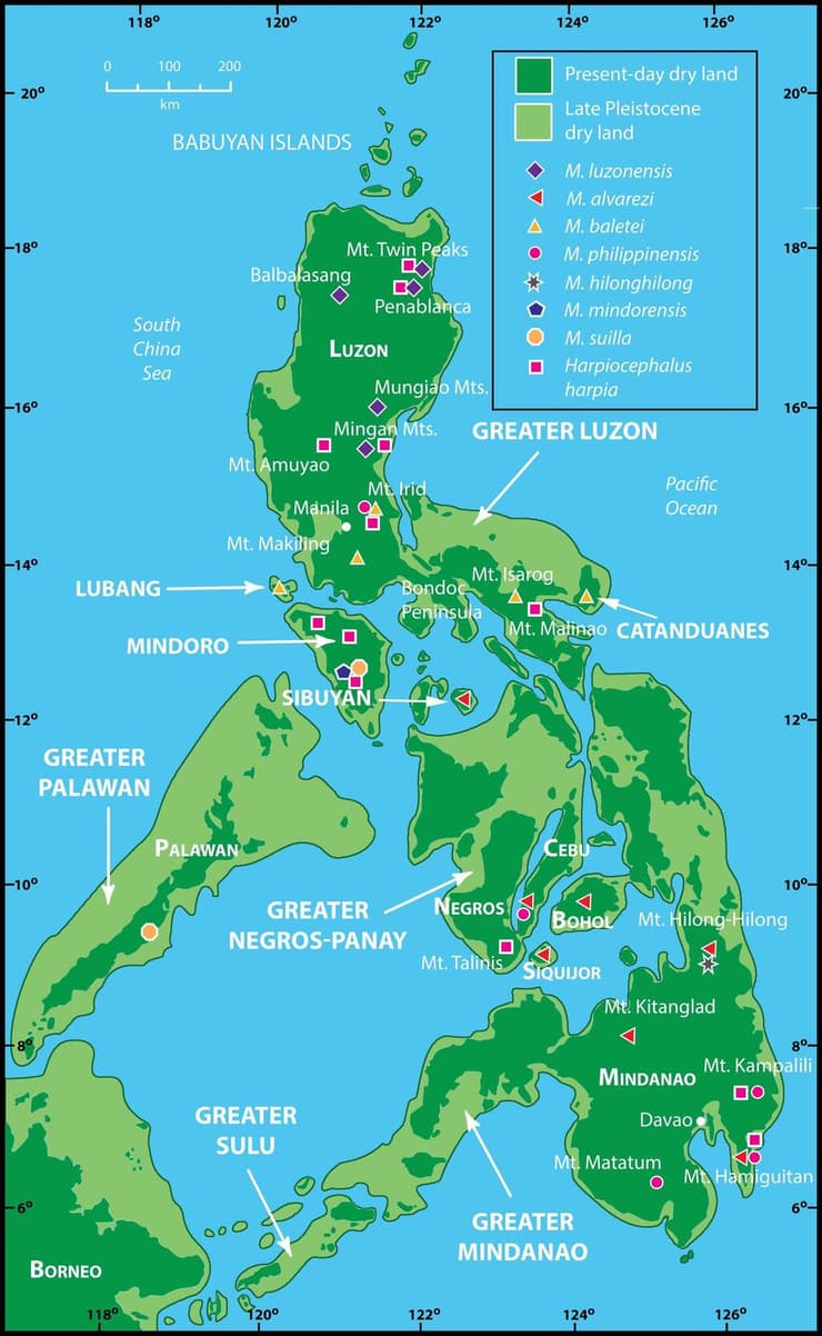 מפה של הפיליפינים ואתרי איסוף דגימות העטלפים