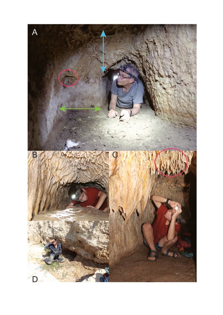 מבט כללי לכיוון מערב לעבר מפגש חוצבים. נישה לנר מסומנת בעיגול אדום, סטייה אופקית בחץ ירוק, וסטייה אנכית בחץ כחול (A). מבט לכיוון דרום-מזרח, לעבר צומת ה־T (B). ספלאותמים בתקרת הנקבה, אזור דגימת הנטיפים לתיארוך מסומן בעיגול אדום (C). פתח נקבה (D) (צילום: ד"ר עזריאל יחזקאל, פרופ' עמוס פרומקין) מבט כללי לכיוון מערב לעבר מפגש חוצבים. נישה לנר מסומנת בעיגול אדום, סטייה אופקית בחץ ירוק, וסטייה אנכית בחץ כחול (A). מבט לכיוון דרום-מזרח, לעבר צומת ה־T (B). ספלאותמים בתקרת הנקבה, אזור דגימת הנטיפים לתיארוך מסומן בעיגול אדום (C). פתח נקבה (D)