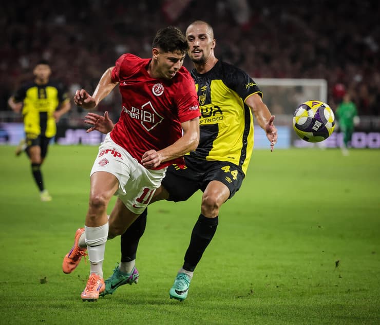 טוריאל בפעולה (צילום: גיל נחושתן) טוריאל בפעולה