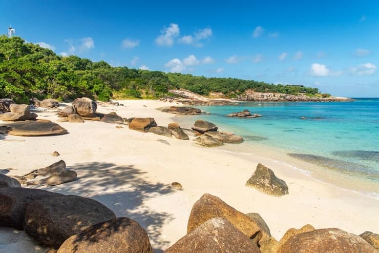 צוות הגילוי ראה רק לטאות. האי האוסטרלי (צילום: Darios/shutterstock) אי הלטאה אוסטרליה