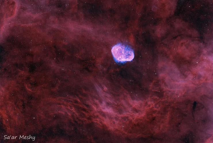 ערפילית חצי הסהר – לב הברבור