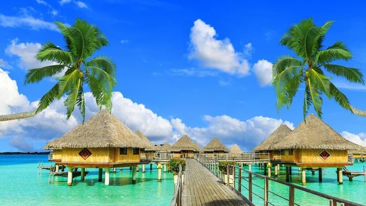 מלדיביים