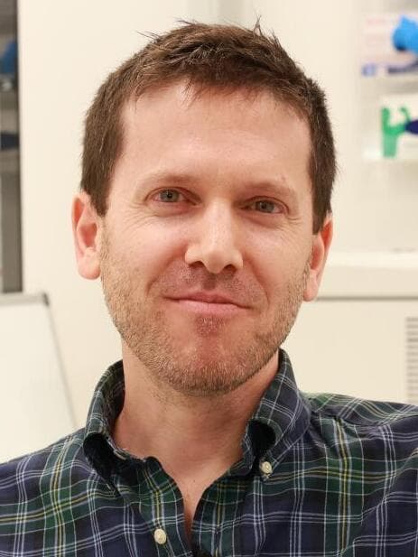 ד"ר דן דומיניסיני