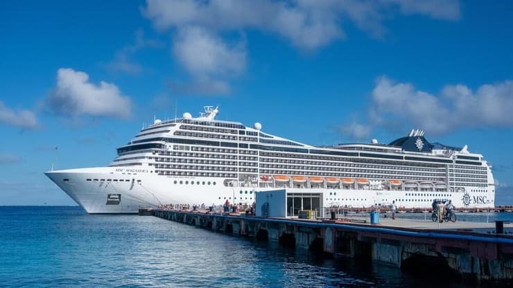 MSC Magnifica (צילום: JMT Photography and Media / shutterstock) MSC Magnifica