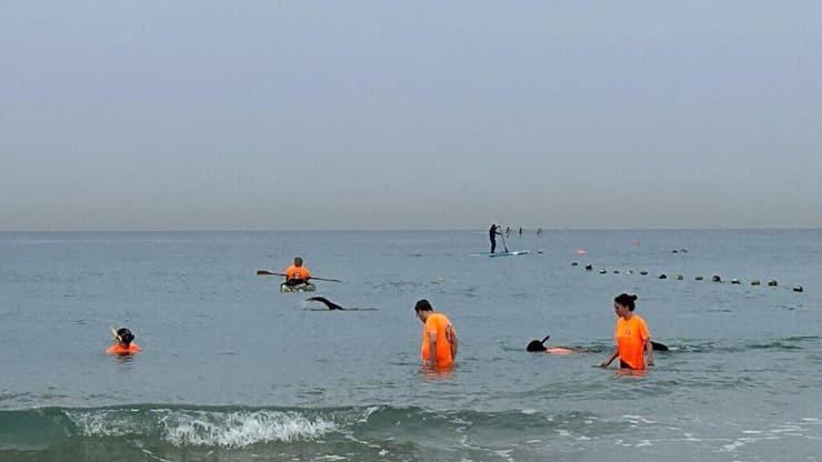 צוותי זק"א בחיפושים אחר הטלפון של הפצ"רית היוצאת חיפושים בים
