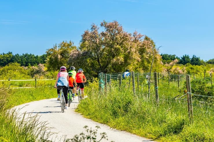 רוכבי אופניים באי אולרון, ארכיון (צילום: JeanLucIchard/shutterstock) רוכבי אופניים באי אולרון ב צרפת ארכיון