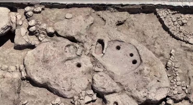 גת לייצור יין מהקדומות בעולם, שנתגלתה בחפירה