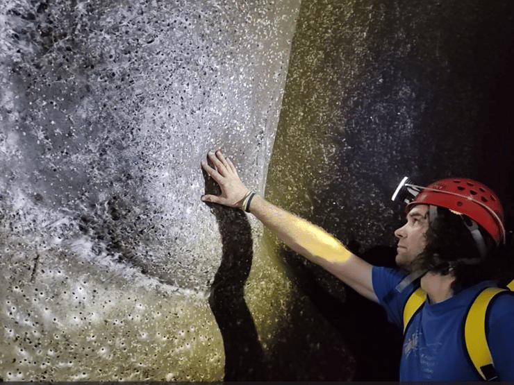 בחינת רשת קורי העכביש הענקית שהתגלתה במערת הגופרית על גבול אלבניה-יוון