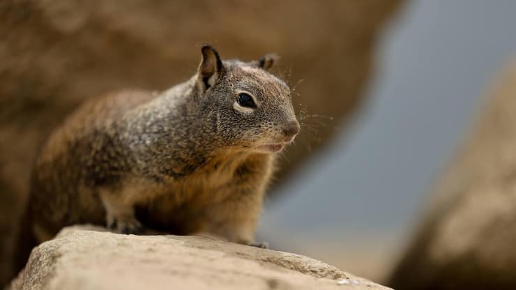 טיול משפחתי בקליפורניה
